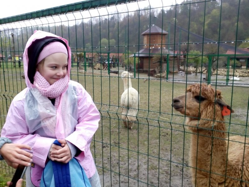 Wycieczka do Jura Parku w Bałtowie